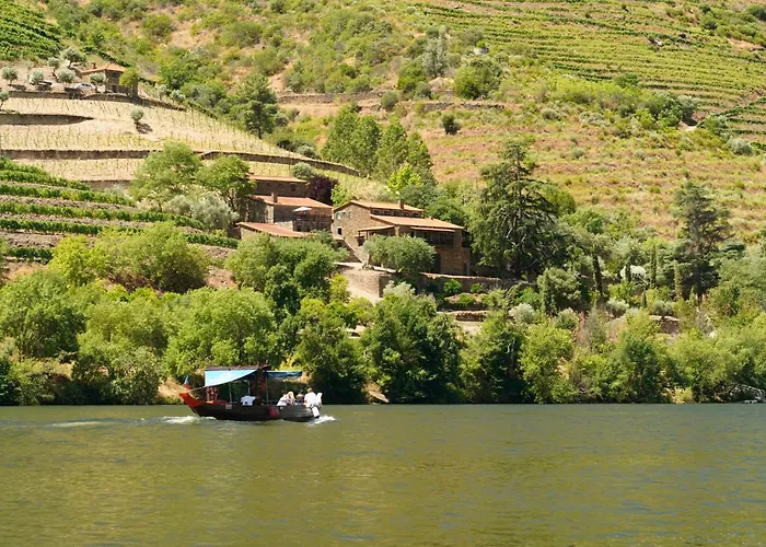 Quinta De S. Jose - Turismo Rural Ervedosa do Douro photo