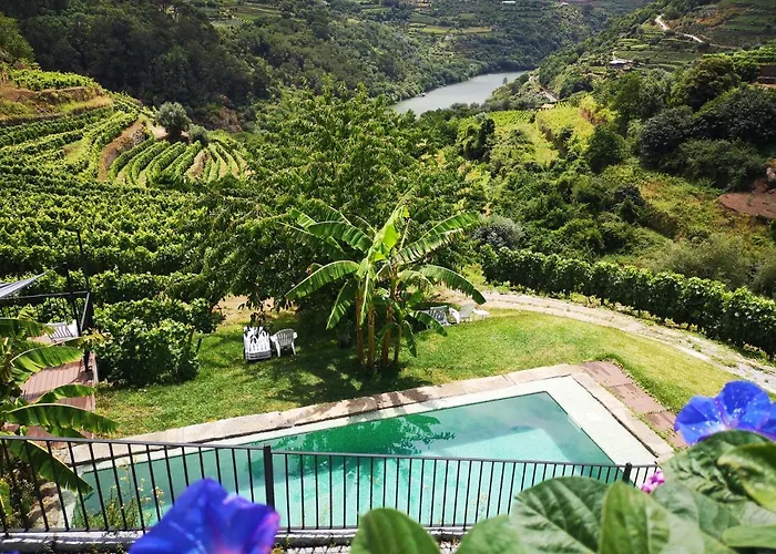 Quinta Barqueiros D'Ouro - Casa Da Musica Villa Mesao Frio photo