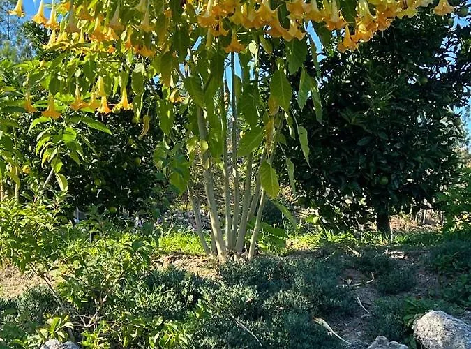 Quinta De Locaia - Refugio Em Pedra 19Ha - Vistas E Total Privacidade Foto