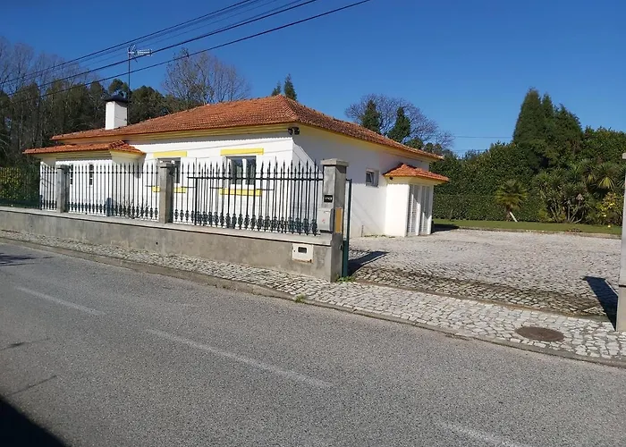 T3 Cozy Old House With Xl Garden Villa Borralha fotoğrafı