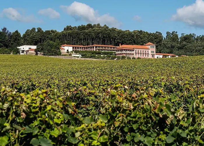 Solar De Vila Mea Barcelos photo