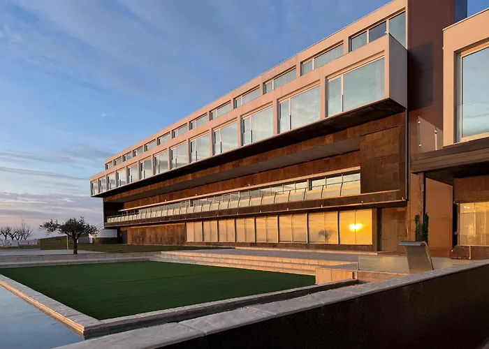 Oca Douro Valley Hotel And Spa Sambade photo