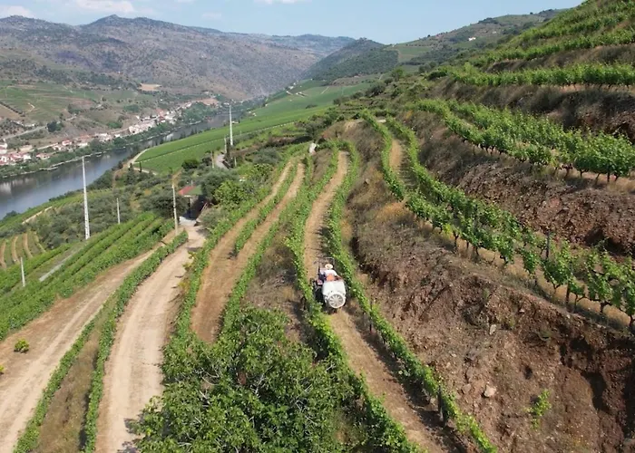 Quinta Da Coitada - Alojamento Local Soutelo do Douro photo