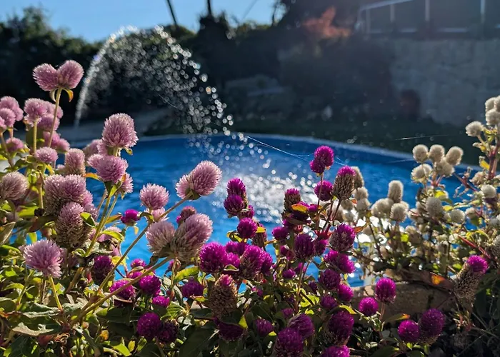 3House Sol Na Eira Em Paredes Rebordosa foto