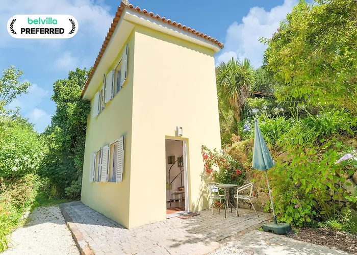 Forest Hideaway Near Douro Valley Quintela  foto