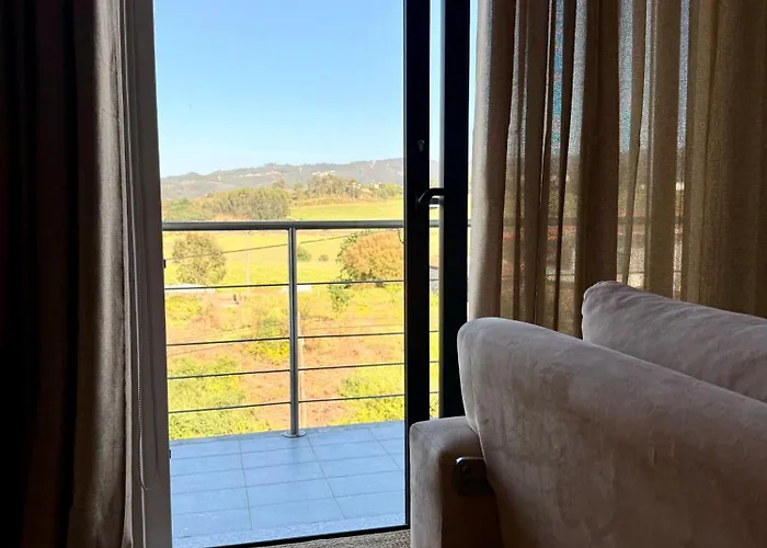 fotos do Horizonte Da Vinha Hotel Santo Tirso