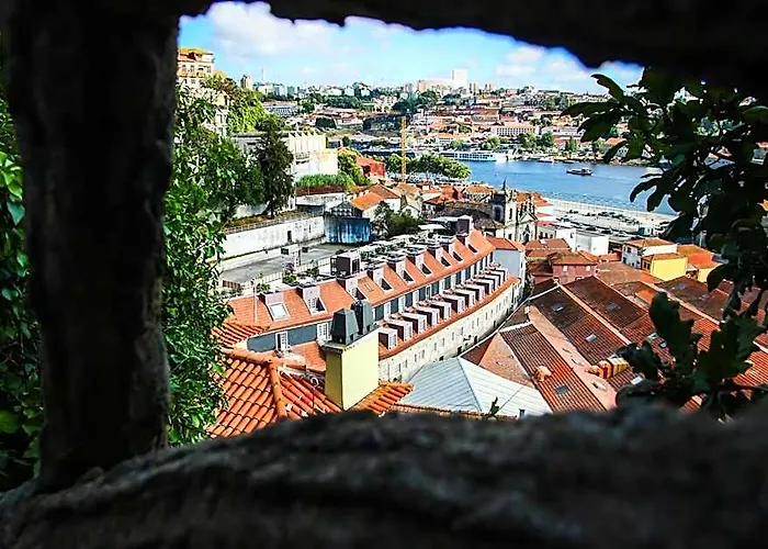 Hotel Timbre Virtudes Oliveira do Douro  foto