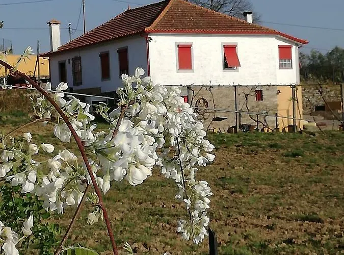 Hotel Casa Da Vinha Grande Poiares fotorgafie